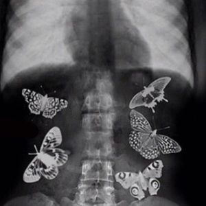 Meet your Posher, Ayden